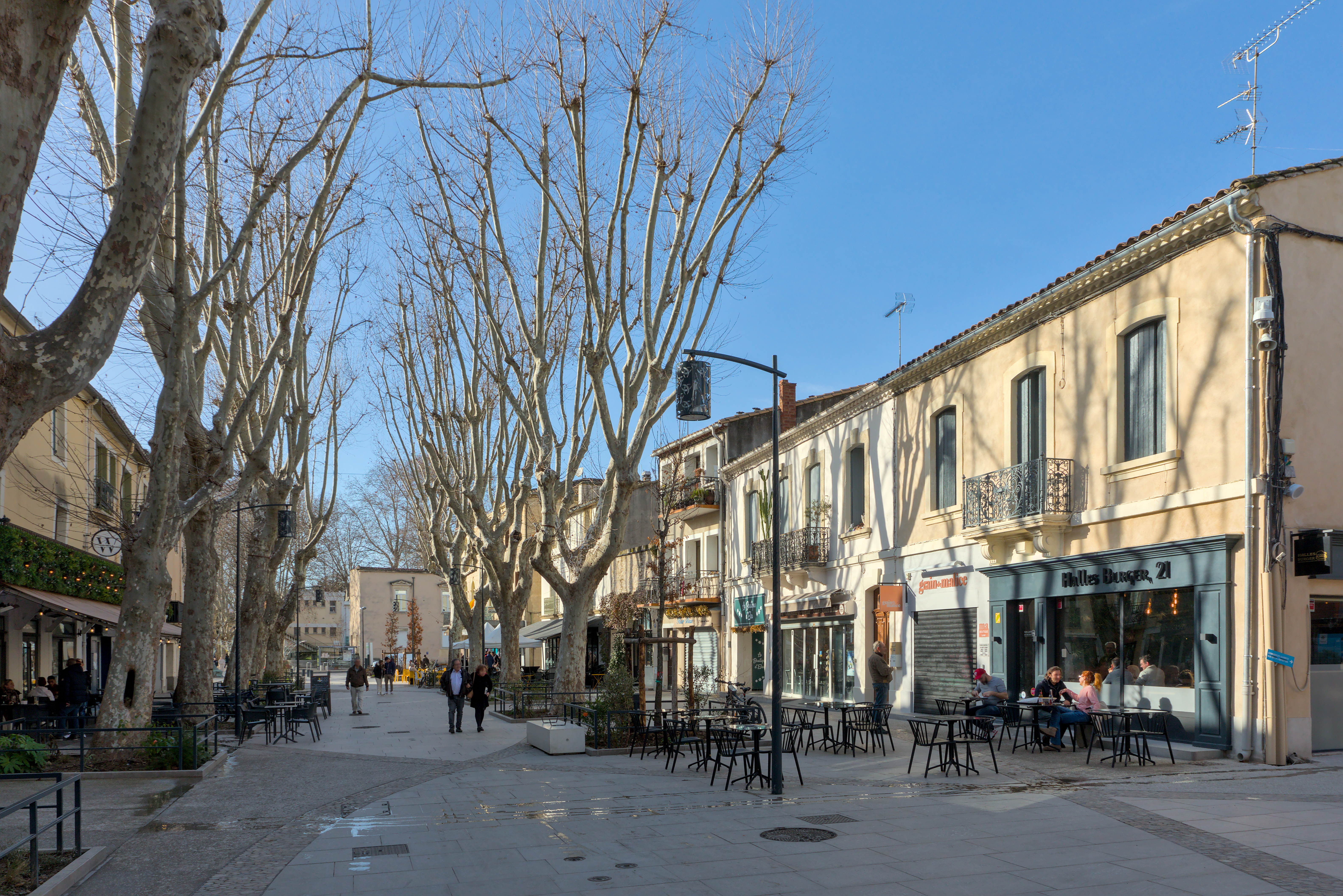 Allée piétonne bordée de platanes et terrasses dans le centre-ville de Lunel, ciel bleu